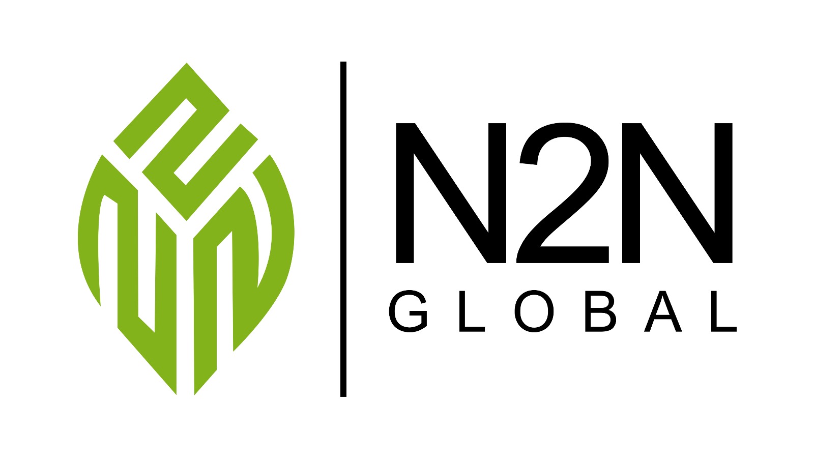 N2N Global Group of Companies